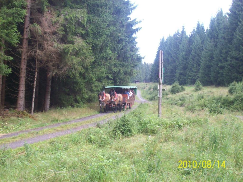 Hotel Burghof Oberweißbach Værelse billede